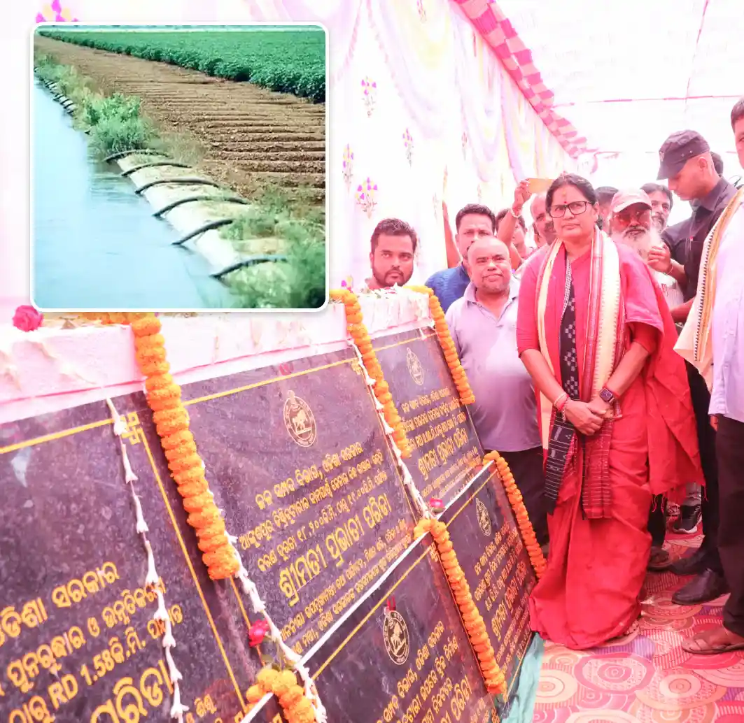 Success Story of a Farmer